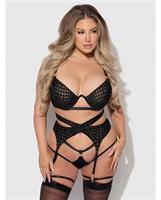 Snake Velvet-Burnout Mesh Bra, Garter, and Backless Hipster Set - Black