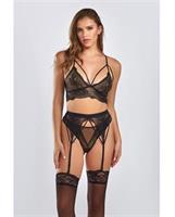 Everly Dot Mesh and Galloon Lace Strappy Bra, Garterbelt and Hipster Panty Black