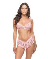 Leyla Lace and Mesh Underwire 2 pc Set - Pink