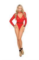 Long sleeve deep V opaque teddy