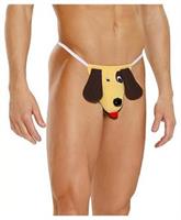 Dog pouch.