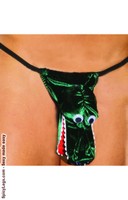 Alligator pouch