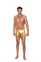 Men's lamé boxer brief.