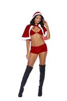 Santa's Naughty Helper - 3 pc. costume