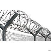 Razor Wire