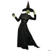 Classic Witch Adult Large