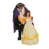 Disney's Beast Costume
