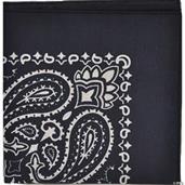 Bandana Blue