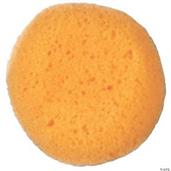 Sponge Cosmetic