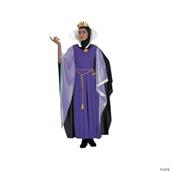 Disney Snow White Evil Queen Deluxe Adult costume