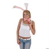 White Bunny Ears And Tail Set