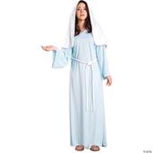 Mary  Adult Costume
