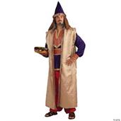 Wiseman Costume