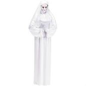 Scary Mary Adult Costume