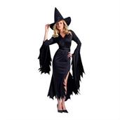 Gothic Witch Adult Costume