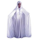 Gossamer Ghost Costume