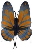 Wings Butterfly Orange