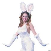 Bunny Instant Costume Kit