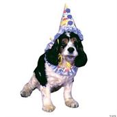 Pet Costume Clown