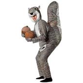Squirrel Adult