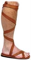 Men's Roman Sandal