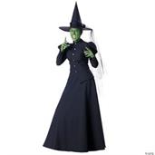 Wizard Of The Oz Witch Costume