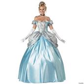 Enchanting Princess Costume