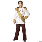 Prince Charming Costume