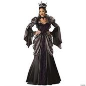Wicked Queen Costume