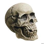 Rotting Skull Prop