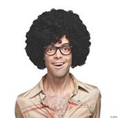 Afro 22 Inch Black Wig