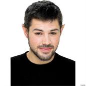 Ear Tips Small Pointed