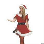 Miss. Santa Adult Costume