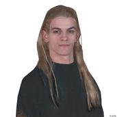 The Lord Of Rings Legolas Wig