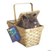 Toto With Basket Deluxe
