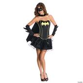 Batgirl Adult Costume