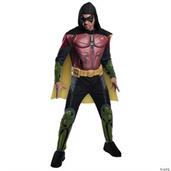 Robin Arkham Adult