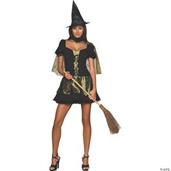 The Wizard of Oz Sexy Wicked Witch of the West Adult Costume