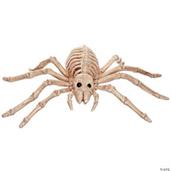Spider Skeleton