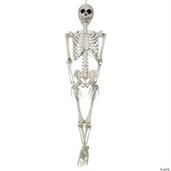 Skeleton 36 Inch