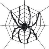 Spider Web With Spider Decoration