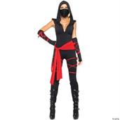 Deadly Ninja Adult Costume