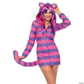 Cat Cheshire Cozy