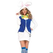Rabbit White Cozy